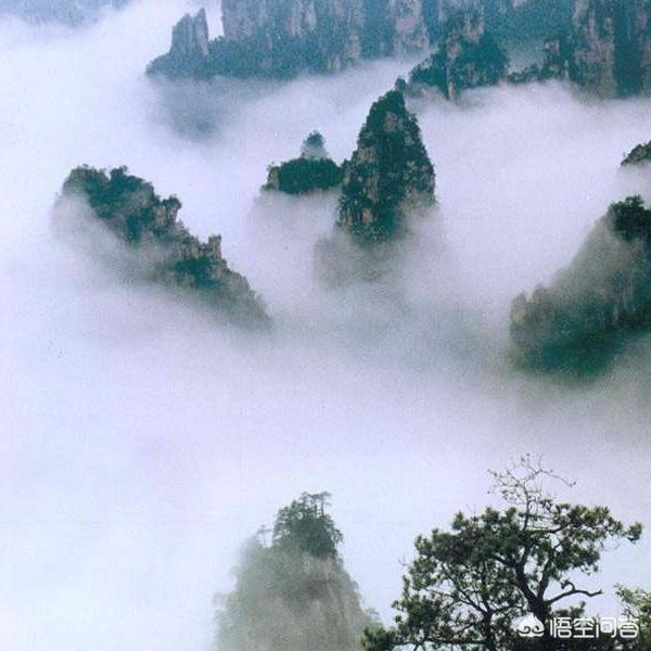 有朋友去過(guò)張家界風(fēng)景區嗎？感覺(jué)怎么樣？